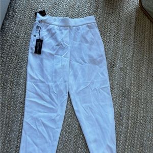 Aritzia babaton conan pants NWT